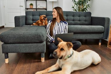Genç İspanyol kadın dizüstü bilgisayar kullanıyor evde köpeklerle oturuyor.