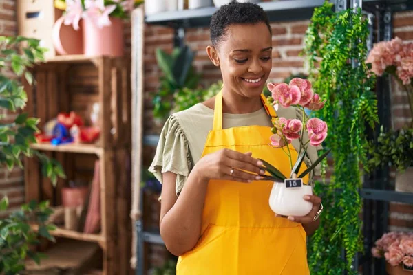 African American Woman Florist Holding Plant Florist — Stock Photo, Image