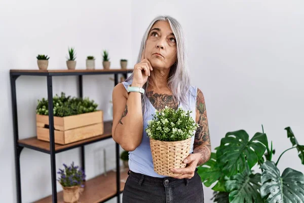 Middle Age Grey Haired Woman Holding Green Plant Pot Home — Foto de Stock