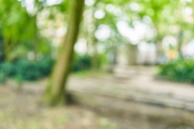 Park arka plan bulanık 