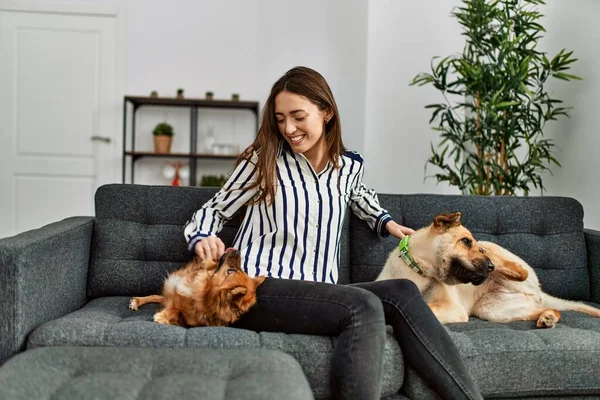 Young hispanic woman smiling confident sitting on sofa with dogs at home