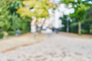 Park arka plan bulanık 