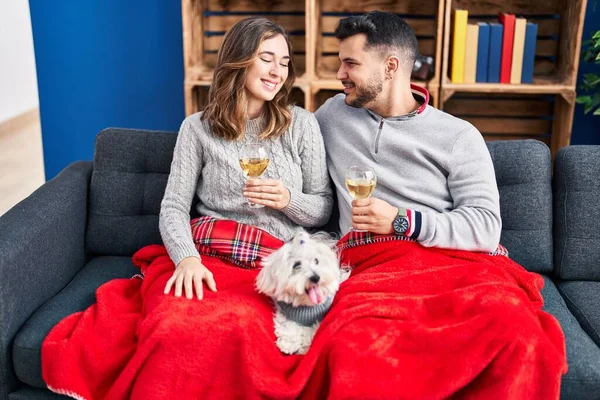 Man and woman toasting with champagne sitting on sofa with dog at home