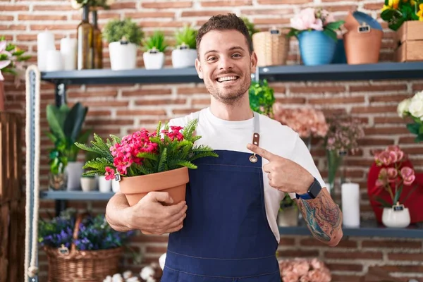Young Hispanic Man Working Florist Shop Holding Plant Pot Smiling — Foto Stock