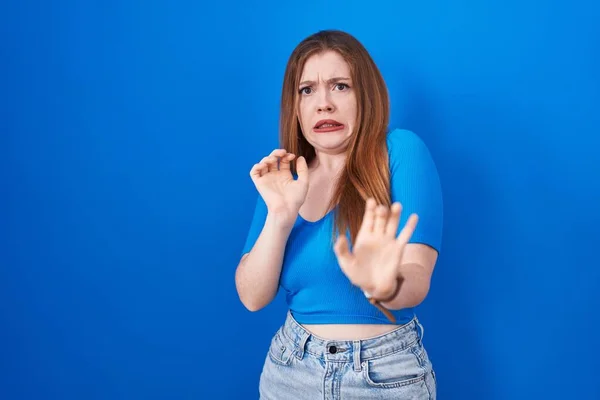 Redhead woman standing over blue background disgusted expression, displeased and fearful doing disgust face because aversion reaction.