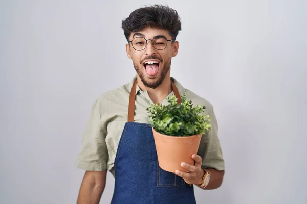Arab Man Beard Holding Green Plant Pot Sticking Tongue Out — Stockfoto