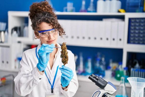Jonge Spaanse Vrouw Wetenschapper Houden Marihuana Plant Met Behulp Van — Stockfoto