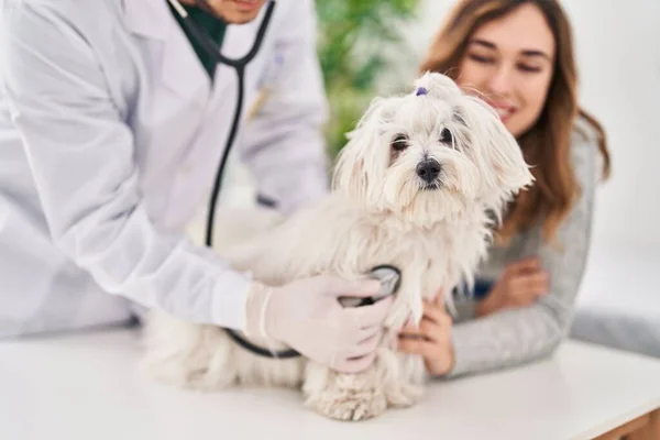 Man Woman Veterinarian Auscultating Dog Veterinary Clinic — Stock Photo, Image
