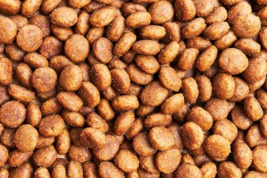  Lezzetli köpek maması küre dokusu.