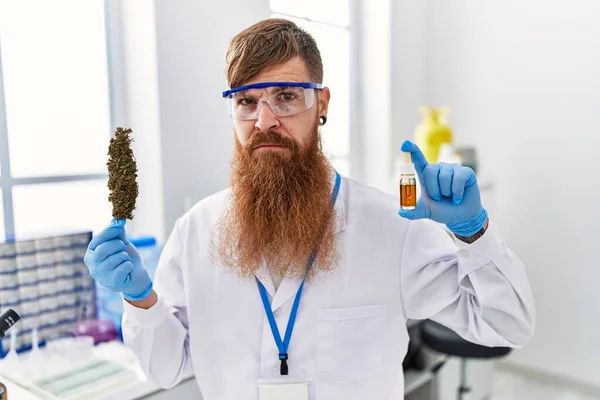 Redhead Man Long Beard Working Scientist Laboratory Holding Weed Cbd — Stock Photo, Image