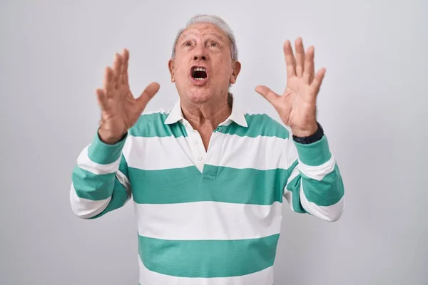 Senior Man Grey Hair Standing White Background Crazy Mad Shouting — Zdjęcie stockowe