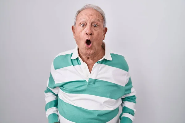 Senior Man Grey Hair Standing White Background Afraid Shocked Surprise — Zdjęcie stockowe