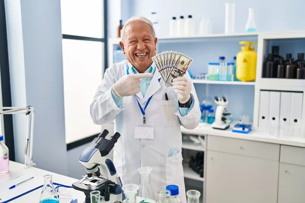 Senior Scientist Grey Hair Working Laboratory Holding Dollars Smiling Happy — ストック写真