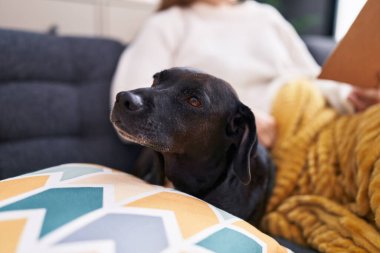 Young blonde woman reading book sitting on sofa with dog at home
