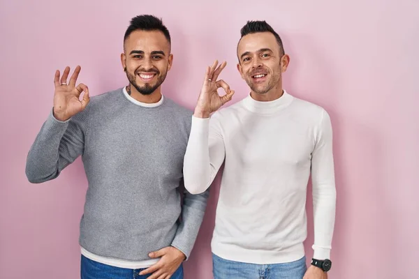 Homosexual Couple Standing Pink Background Smiling Positive Doing Sign Hand — 스톡 사진