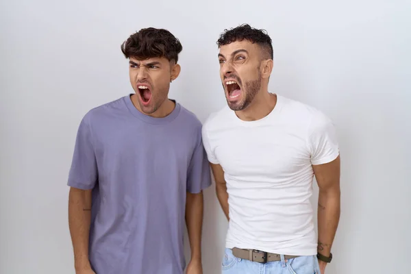 Homosexual Gay Couple Standing White Background Angry Mad Screaming Frustrated — Stock fotografie