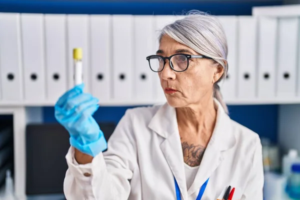 Middle Age Grey Haired Woman Scientist Holding Test Tube Laboratory — Stock Photo, Image