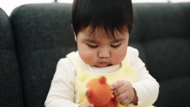 Adorable Hispanic Baby Holding Toy Sitting Sofa Home — Vídeo de Stock