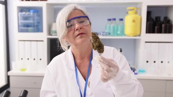 Middle Age Grey Haired Woman Wearing Scientist Uniform Analyzing Cannabis — ストック動画