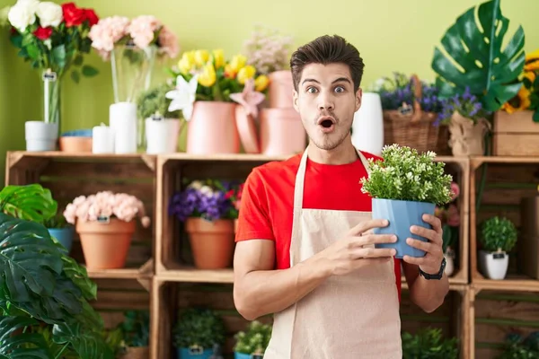 Young Hispanic Man Working Florist Shop Holding Plant Scared Amazed — Stock Photo, Image