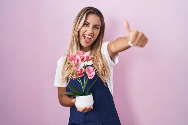 Young blonde woman wearing gardener apron holding plant approving doing positive gesture with hand, thumbs up smiling and happy for success. winner gesture.