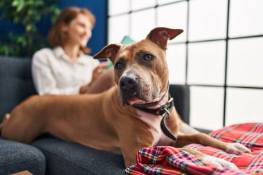 Genç beyaz kadın kitap okuyor. Kanepede köpeğiyle oturuyor.