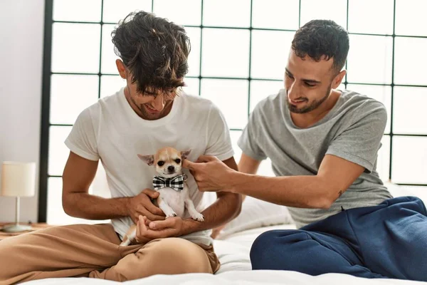 Zwei Hispanische Männer Sitzen Mit Chihuahua Schlafzimmer Auf Dem Bett — Stockfoto