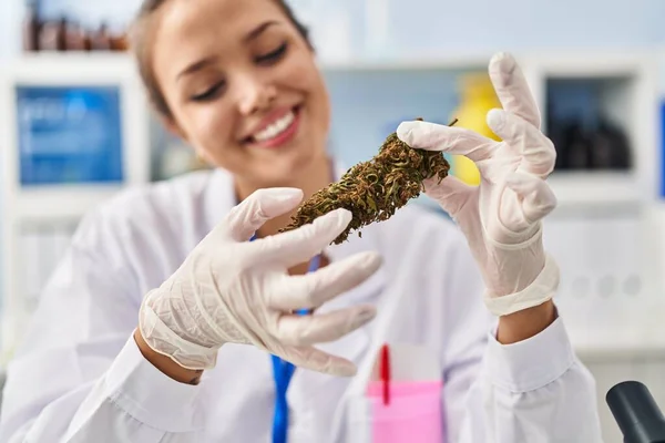 Giovane Bella Scienziata Ispanica Donna Sorridente Fiducioso Possesso Marijuana Laboratorio — Foto Stock