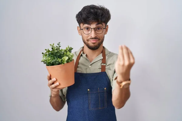 Homme Arabe Avec Barbe Tenant Pot Plante Verte Faisant Geste — Photo