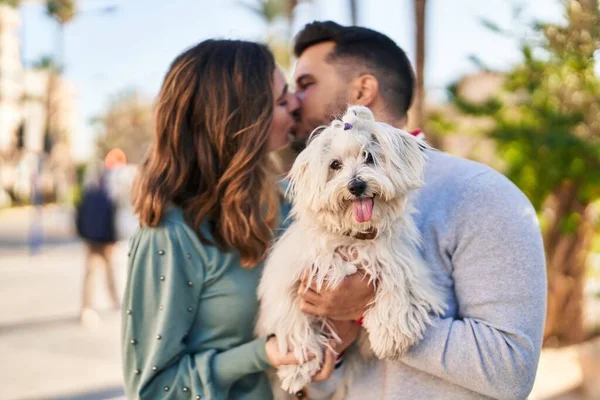 男人和女人牵着狗站在公园接吻 — 图库照片