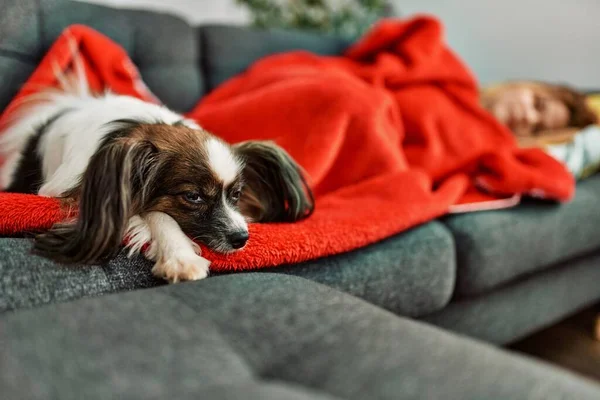 Junge Kaukasierin Liegt Auf Sofa Und Schläft Mit Hund Hause — Stockfoto