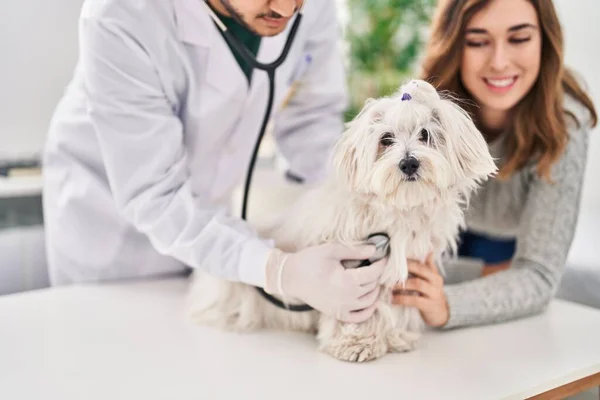Hombre Mujer Veterinario Auscultar Perro Clínica Veterinaria — Foto de Stock