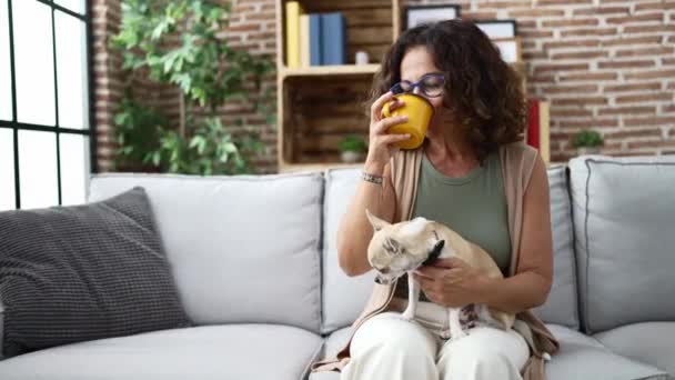 Orta Yaşlı Spanyol Kadın Bir Fincan Kahve Içiyor Kanepede Köpeğiyle — Stok video