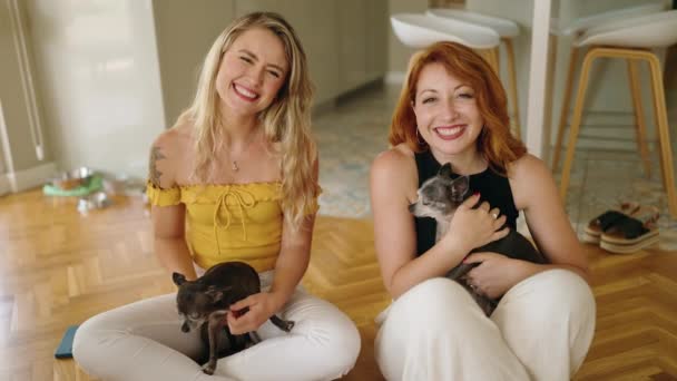 Dos Mujeres Sonriendo Confiadas Sentadas Suelo Con Chihuahuas Casa — Vídeo de stock