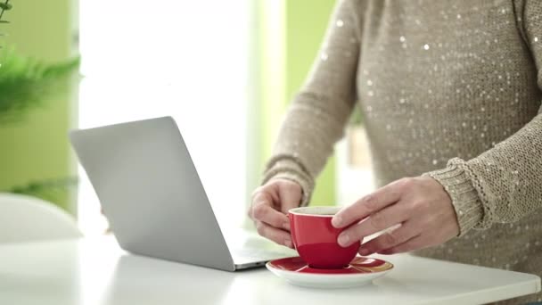 Mulher Meia Idade Com Cabelos Grisalhos Usando Laptop Sentado Mesa — Vídeo de Stock
