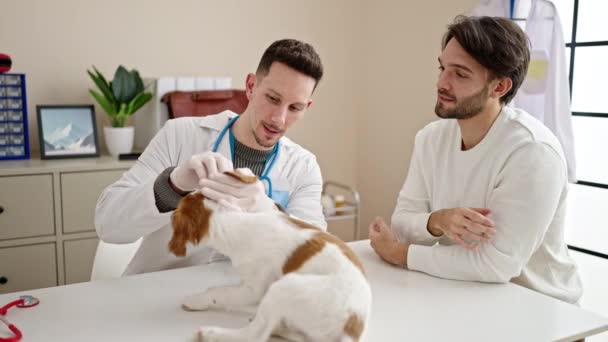 两名男子在兽医诊所为狗清洁耳朵 — 图库视频影像