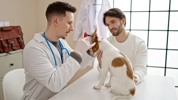Dois Homens Examinando Orelhas Cão Usando Otoscópio Clínica Veterinária — Fotografia de Stock