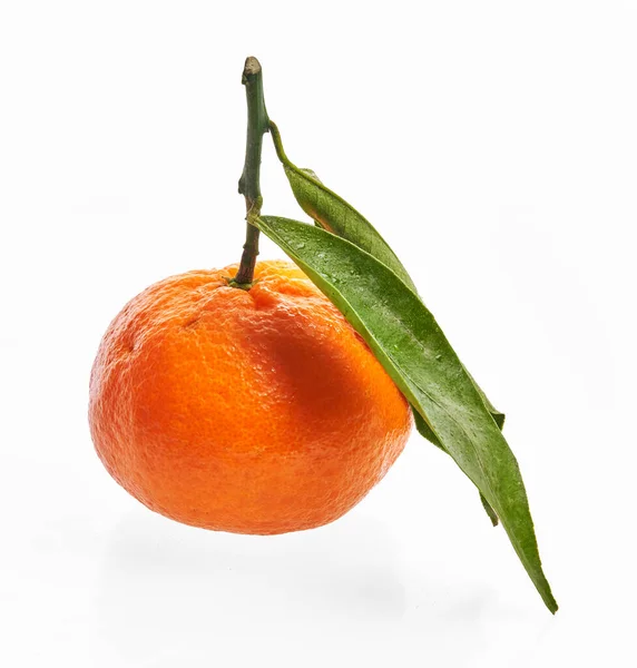 Deliciosa Mandarina Simple Sobre Fondo Blanco Aislado — Foto de Stock
