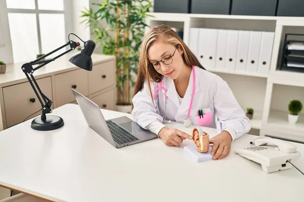 Young Blonde Woman Gynecologist Holding Anatomical Model Uterus Clinic — Stock Photo, Image