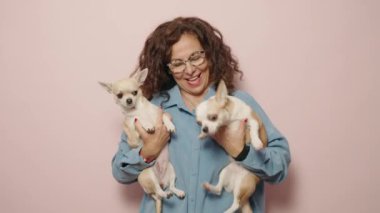 Middle age woman smiling confident holding chihuahuas over pink background