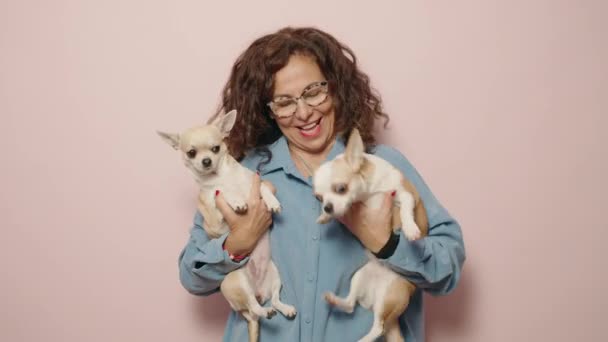 Mujer Mediana Edad Sonriendo Confiada Sosteniendo Chihuahuas Sobre Fondo Rosa — Vídeo de stock