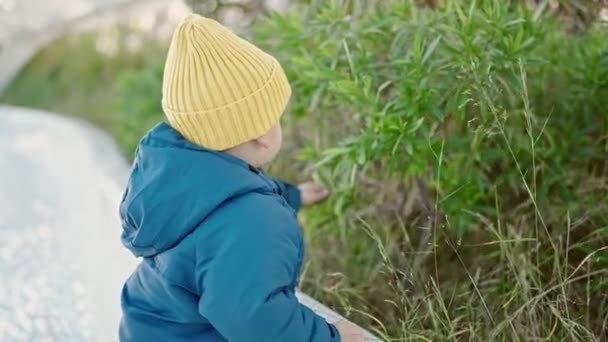 Kaukasiska Barn Har Roligt Att Leka Med Växter Parken — Stockvideo