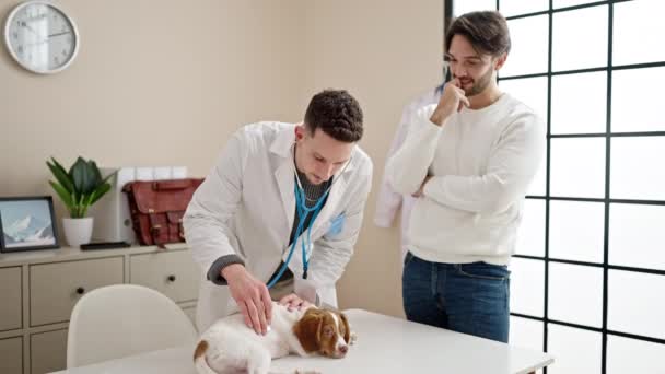 Two Men Examining Dog Veterinary Clinic — Stock Video