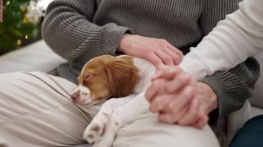 Noel 'i kutlayan iki erkek evdeki evcil köpek koltuğunda oturuyor.