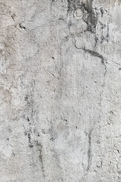 콘크리트 표면의 — 스톡 사진