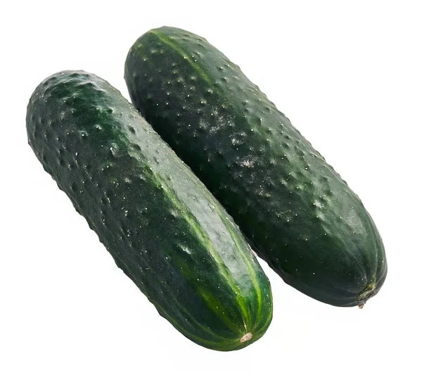 Delicious Single Cucumber Isolated White Background — Stock Photo, Image