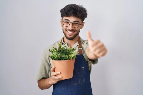 阿拉伯男人留着胡子 拿着绿色的花盆 赞成用手做积极的手势 微笑着竖起大拇指 为成功感到高兴 优胜手势 — 图库照片