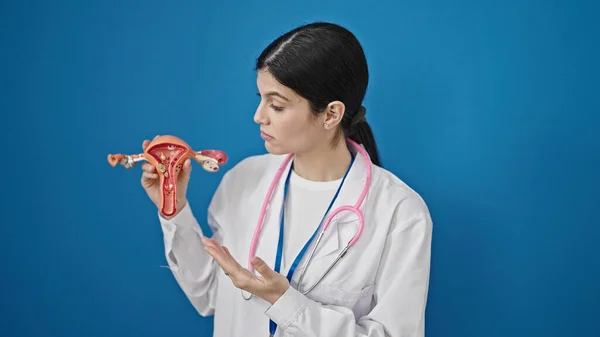 年轻美丽的惊慌失措的妇科医生将子宫解剖模型置于孤立的蓝色背景之下 — 图库照片