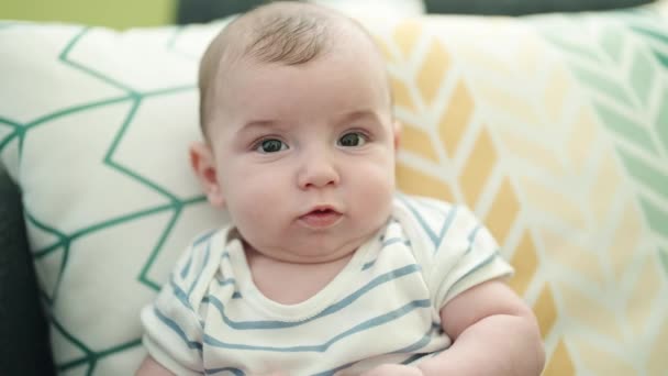 Adorable Caucasian Baby Smiling Confident Sitting Sofa Home — ストック動画
