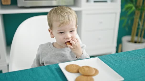 Criança Branca Sentada Mesa Comendo Biscoitos Sala Jantar — Vídeo de Stock